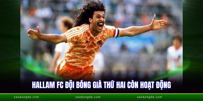 Hallam FC đội bóng già thứ hai còn hoạt động