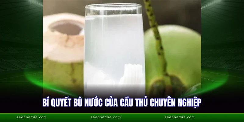 Bí quyết bù nước của cầu thủ chuyên nghiệp