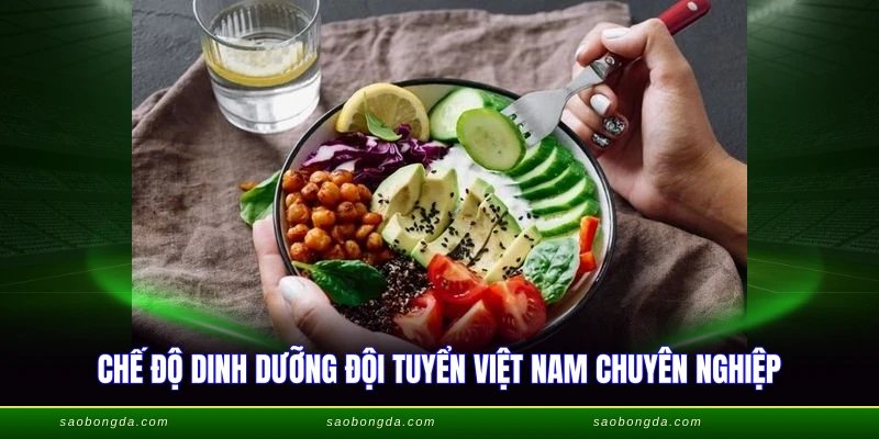Trước Khi Đá Bóng Nên Ăn Gì - Bí Quyết Dinh Dưỡng 2026 1 Chế độ dinh dưỡng trước khi đá bóng nên ăn gì khoa học