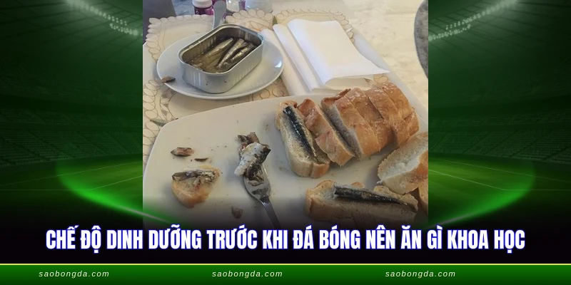 Trước Khi Đá Bóng Nên Ăn Gì - Bí Quyết Dinh Dưỡng 2026 4 Chế độ dinh dưỡng đội tuyển Việt Nam chuyên nghiệp