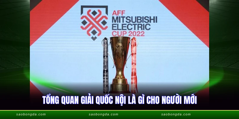 Giải Quốc Nội Là Gì - Tổng Hợp Giải Đấu Hấp Dẫn 2026 1 Tổng quan giải quốc nội là gì cho người mới